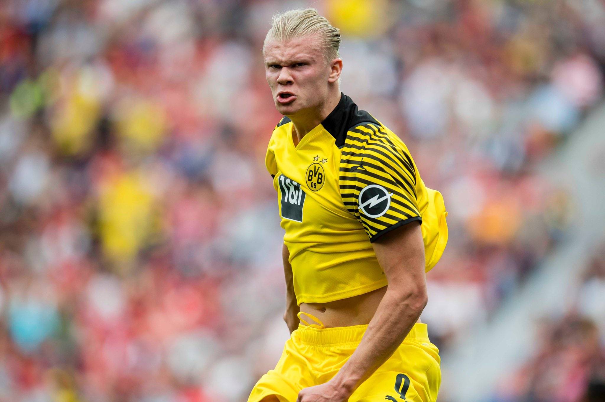 太乙真人 太乙真人